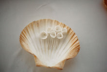 Load image into Gallery viewer, Blossom Hair Comb Full Set