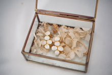 Load image into Gallery viewer, Delphine Earrings