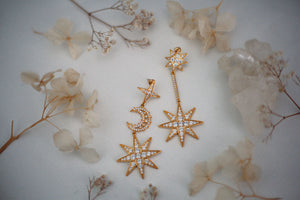 Capricorn Earrings