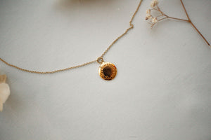 Solar Necklace